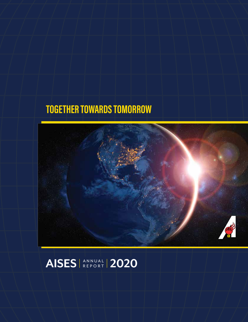 2019 AISES Annual Report Image