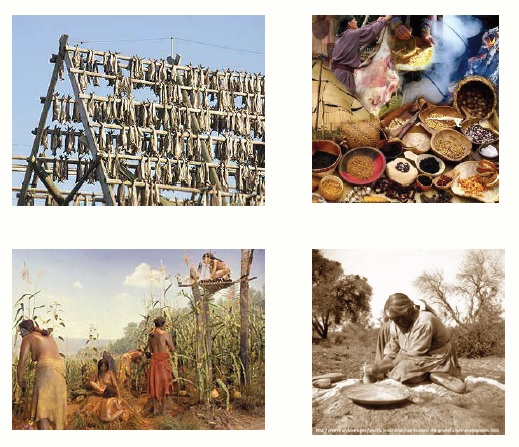 various pics of indigenous life